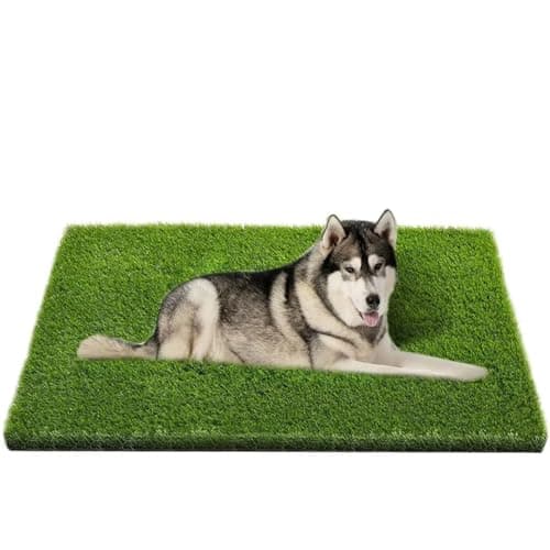 CooZero Artificial Grass, Professional Dog Grass Mat image