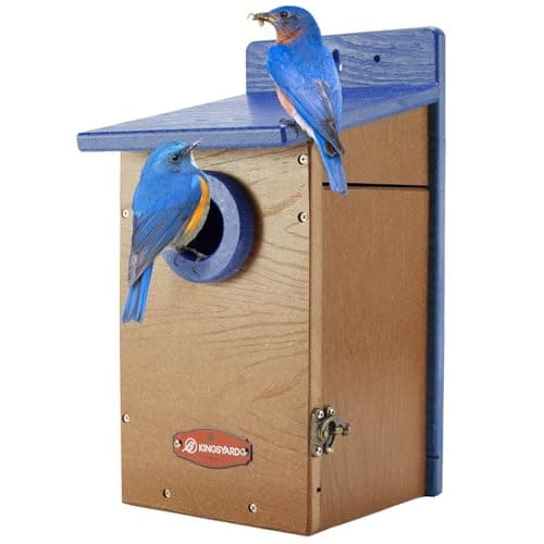 Kingsyard Recycled Plastic Bird House for Outdoor, Bluebird House with Predator Guard image