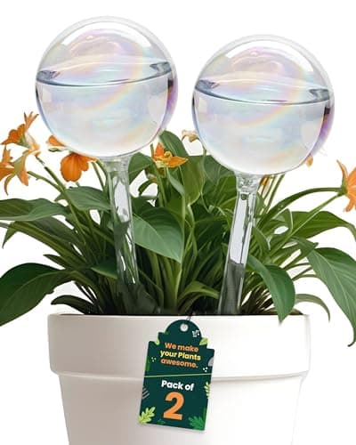 2 Pcs Iridescent Self Watering Globes, Glass Rainbow Plant Watering Globes, Self Watering Planter Insert, Automatic Plant Waterer Indoor, Plant Watering Devices, Plant Water Globes, Watering Bulb image