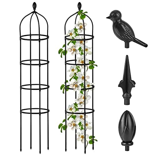 Garden Obelisk Trellis for Climbing Plants Outdoor 6 Ft Rose Bush Round Trellis for Pots Rustproof Metal Plant Flower Trellises for Clematis Vine Jasmine Support Outdoor Indoor image