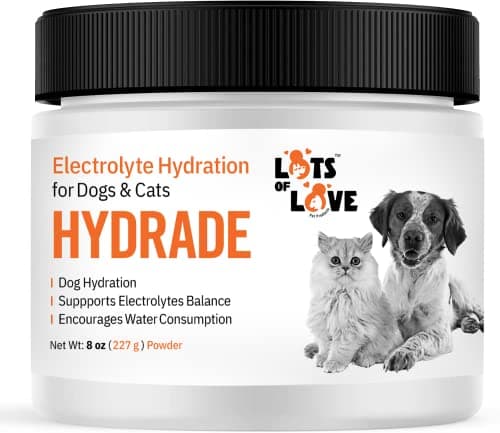 HydrADE Powder - Electrolytes for Dog & Cat Dehydration - Hydration for Dogs & Cats - Lots of Love Pet Products (8 Oz) image