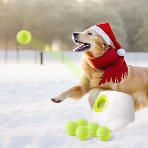 ALL FOR PAWS Automatic Dog Ball Launcher, Adjustable Distance Settings, Rechargeable Battery image