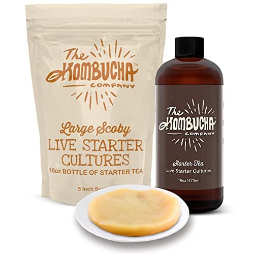The Kombucha Company Large Kombucha Scoby & 16oz Bottle of Starter Tea l Makes One Gallon | Brew Kombucha from Home | Made From Purified Rainwater image