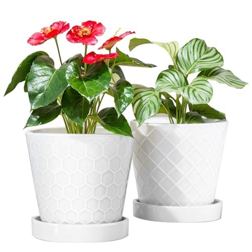 BUYMAX Plant Pots Indoor – 6 inch Ceramic Flower Pot with Drainage Hole and Ceramic Tray - Gardening Home Desktop Office Windowsill Decoration Gift, Set of 2(White) image