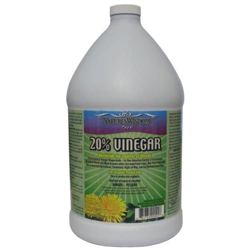 Natures Wisdom 20% Vinegar Weed & Grass Killer | Natural and Organic | 1 Gallon | Glyphosate Free Herbicide image