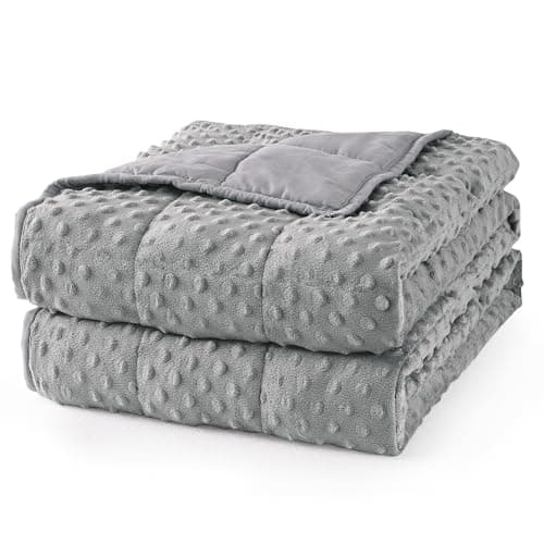 Mr. Sandman Weighted Blanket for Adults Queen, Minky Dots Heavy Blanket for Woman,Man Sleeping/Calm, Soft, Cozy and Cooling Weighted Throw Blankets, Machine Washable, 60 x 80in, 15 Pounds, Grey image