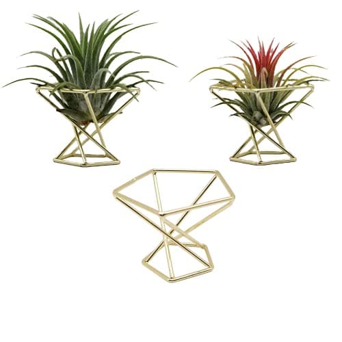Nwsrayu Geometric Air Plant Holder Airplants Rack Metal Plants Stand Planter Shelves Himmeli Living Decor Tillandsia Pot Containers (Gold 3pcs) image