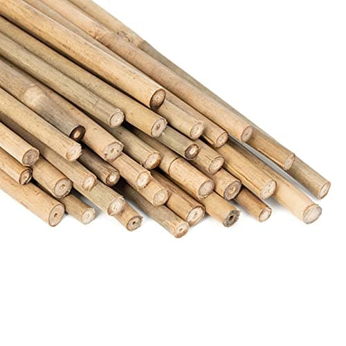 GAGINANG Plant Stakes Natural Garden Bamboo Sticks for Indoor and Outdoor, 20pcs for Tomatoes, Beans, Potted Plants - 18 inches image