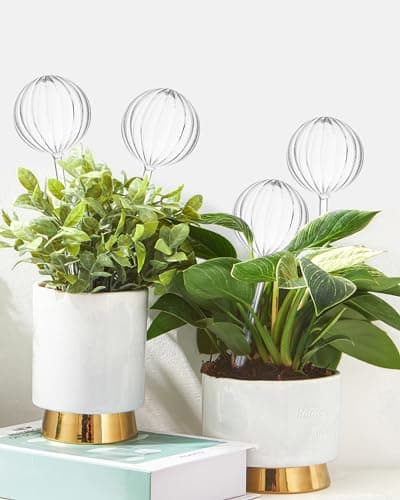 DN DECONATION 4 Pcs Plant Watering Globes, Clear Glass Bulbs for Indoor & Outdoor Plants, Automatic Watering System to Support Plant Health, Striped Water Globes image
