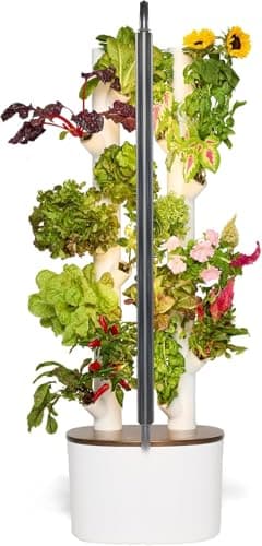 Gardyn Studio Hydroponics Growing System Kit & Vertical Indoor Garden Planter | Smart Herb Garden | Includes 16 Non-GMO Indoor Plants, Herbs, Vegetables & LED Grow Light for Your Home Gardening System image