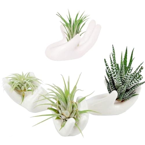 4 Pack Air Plant Holders Unique Ceramic Mini Airplants Stand Tillandsia Succulent Display Container Pot Cute Home Decor for Desk Table Shelf Window, White image