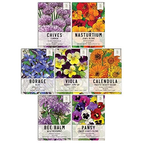Seed Needs, Edible Wildflower Seed Packet Collection (7 Varieties of Flower Seed for Planting) Non-GMO & Untreated - Includes Viola, Pansies, Chives, Borage, Calendula, Nasturtium and Bee Balm image