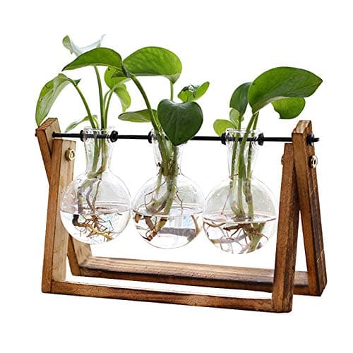 XXXFLOWER Plant Terrarium with Wooden Stand, Air Planter Bulb Glass Vase Metal Swivel Holder Retro Tabletop for Hydroponics Home Garden Office Decoration - 3 Bulb Vase image