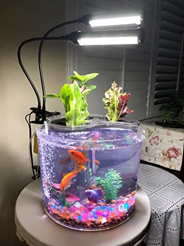 Hydroponics with Aquaponic Indoor Gardening Ecosystem with LED Grow Lights image