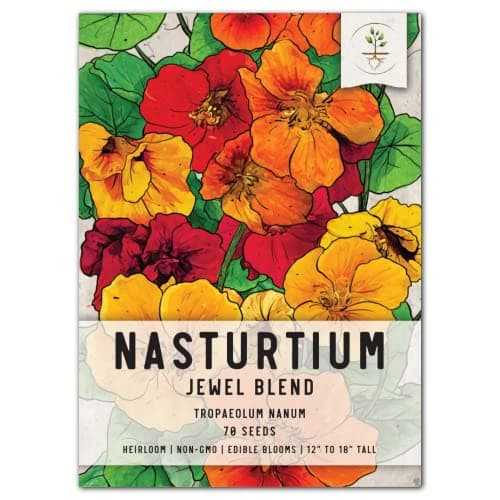 Seed Needs Nasturtium Seeds for Planting Jewel Blend - Heirloom Untreated & Open Pollinated Annual Wildflowers image