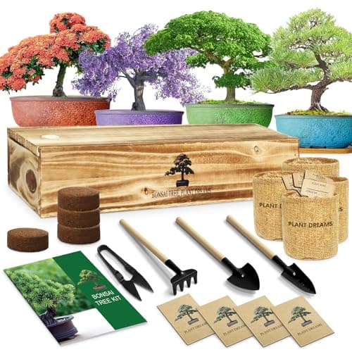 LUOJIBIE Bonsai Tree Kit, Bonsai Starter Kit for Growing Bonsai Plants with Tools, Grow Bonsai Tree Live Indoor, Garden Crafts Hobby Kits, Unique DIY Gardening Gifts for Men Women Mother image