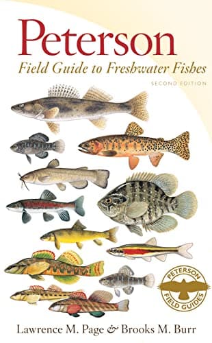 Peterson Field Guide to Freshwater Fishes, Second Edition (Peterson Field Guides) image