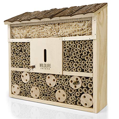 Wildlife Friend I Bee Hotel Insect Hotel - 29.5 x 28 x 10 cm - untreated, Solid Wood bee House for Bees, Ladybugs & lacewings - Hanging Insect House & Nesting aid image