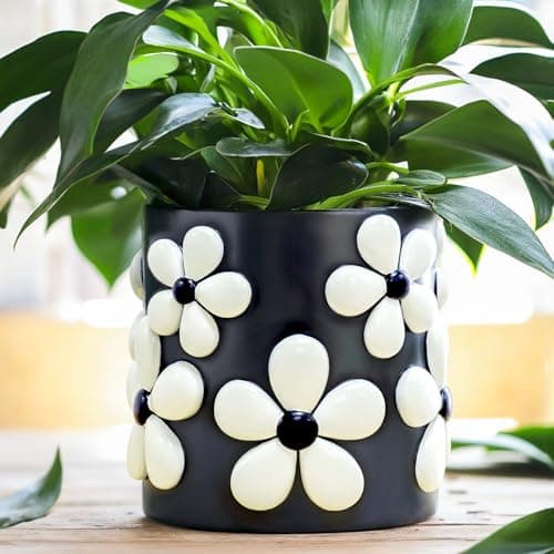 GUGUGO Colorful Flowers Planters Cute Unique Rainbow Planter with Drainage, Vintage Retro Flower Plant pots for Indoor Plants, Eclectic Succulent Gardening Pot for Boho Modern Home Décor-Black image