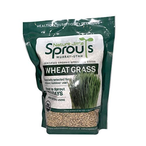 Nature Jims Sprouts Wheatgrass Seeds - 100% Organic Wheat Grass Seed for Sprouting - Cat Grass Planter Seeds, Rich in Vitamins, Fiber and Minerals - Non-GMO image