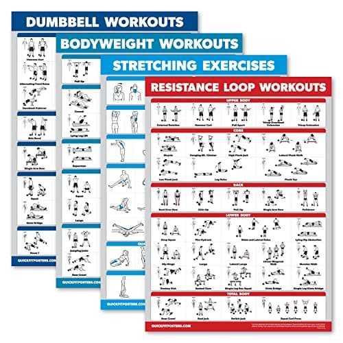 Palace Learning 4 Pack - Dumbbell Workouts + Bodyweight Workouts + Stretching Exercises + Resistance Loops - Set of 4 Workout Charts image
