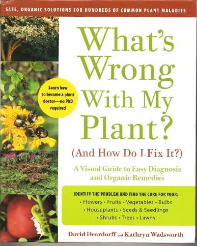 What's Wrong With My Plant? (And How Do I Fix It?) image
