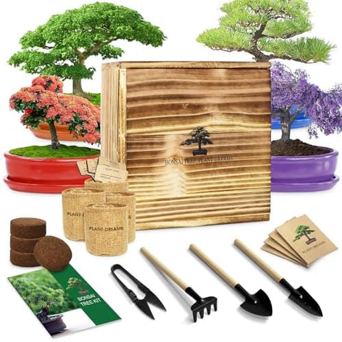 Bonsai Tree Kit for Beginners, DIY Growing Kits with Starter Set, Complete Gardening Kit for Kids & Adults, Grow Your Own Bonsai Tree at Home, for Garden Lovers, Men & Women image