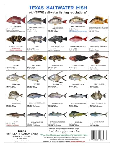 Tackle Box I.D. Texas Saltwater Fish Identification Card Set - Three Waterproof Cards Showing 60 Common Fish and 17 Sharks in True-to-Life Photographs with Current 2024-2025 TPWD Rules. image