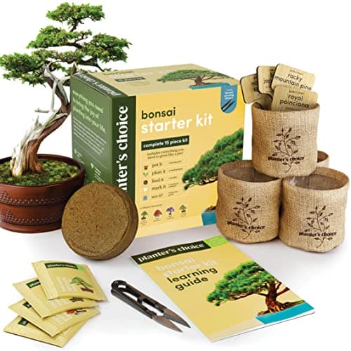 Bonsai Starter Kit - Gardening Easter Gift for Women & Men - Bonsai Tree Growing Garden Crafts Hobby Kits for Adults, Unique Hobbies for Plant Lovers - Unusual Christmas Gifts Ideas - Gardener Mother image
