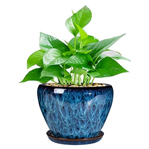 Ceramic Modern Glaze Succulent Planter Pot with Drainage Hole and Saucer 6 Inch Round Flower Plant Pot for Indoor Outdoor Herb Snake Plants image
