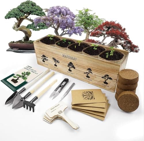 Bonsai Tree Kit, 5 X Unique Japanese Trees, Include Tree Seeds, Tools, Complete Indoor Friendly to Starter Kit for Growing Bonsai Plants, Gardening Gifts for Women & Men image