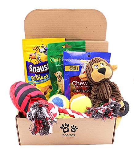 Fansco Dog Gift Box Set with Pet Toys Treats Snacks image