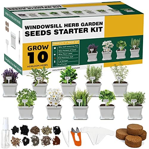 Herb Grow Kit, 10 Herb Seeds DIY Garden Starter Kit, Complete Potted Plant Growing Set Including White Pots, Markers, Nutritional Soil, Watering, Clipper for Kitchen Herb image
