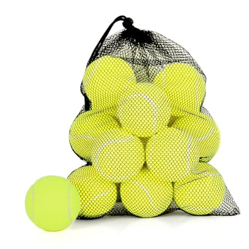 MRYCZ FYRHD 24 Pack Tennis Balls, Training, Pet Dog Playing, Practice with Mesh Bag for Transport and Beginner Training image
