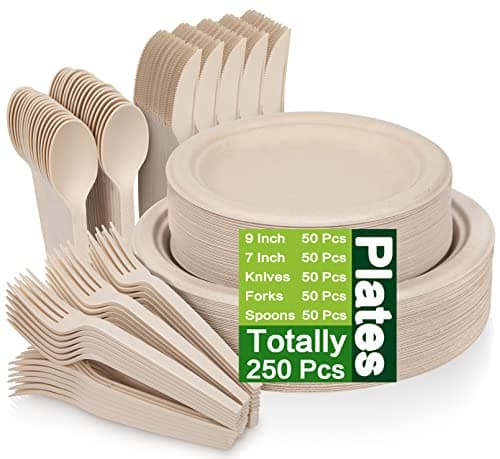 250 Piece Compostable Paper Plates Set with Extra Long Utensils, Sugarcane Fibers Disposable Dinnerware Set, Eco Friendly Biodegradable Plates, Spoons, Forks and Knives for Party, Camping, Picnic image