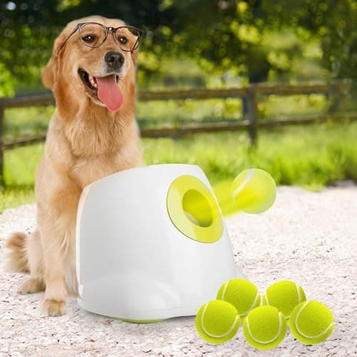 ALL FOR PAWS Automatic Dog Ball Launcher for Medium to Large Dogs, Interactive Dog Ball Thrower Mental Stimulation Dog Toys, Dog Tennis Ball Machine with Standard Tennis Balls, Rechargable & Reliable image