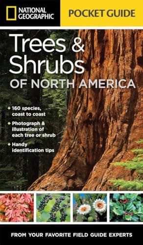 National Geographic Pocket Guide to Trees and Shrubs of North America image