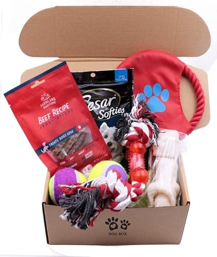 Deluxe Dog Gift Box Set with Pet Chew Toys Treats Snacks image