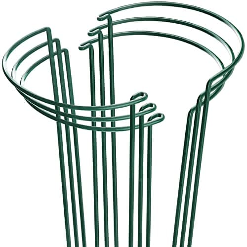 HiGift Plant Support Stakes, 6 Pack Metal Peony Cages and Supports, Garden Stakes Plant Support Cage, Large Plant Support Ring for Outdoor Indoor Snake Plant Peony Rose Flowers Vine (10" W x 15.8" H) image