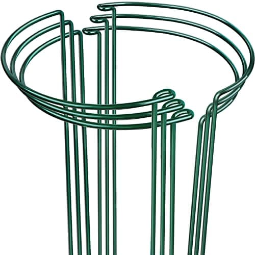 LEOBRO Plant Support Stakes, 6 PCS Plant Stakes, Plant Supports, Garden Stakes, Peony Cages and Supports, Plant Stakes for Indoor Plants, Monstera Tomato Hydrangea Support Cage, 10" W x 15.8" H image
