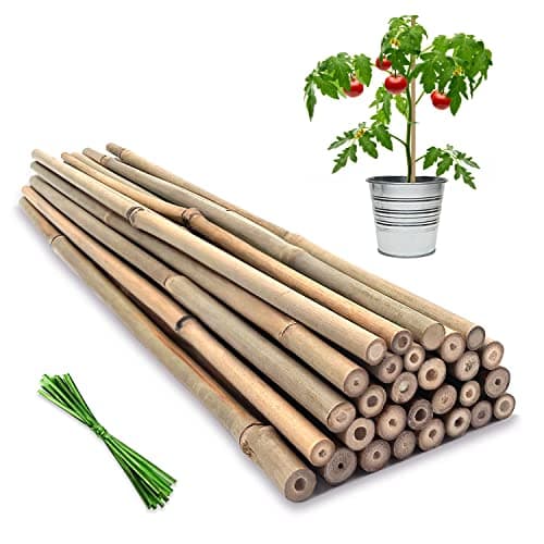 Plant Stakes, 18 Inches Natural Garden Bamboo Sticks, BOVITRO 20Pcs Plant Support Stakes for Tomatoes, Beans, Vegetable and Potted Plants image