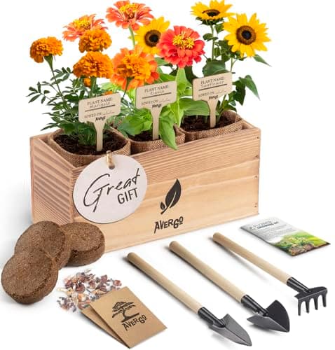 Sunflower, Marigold & Zinnia Flower Seeds Growing Kit – Complete Indoor & Outdoor Kit image