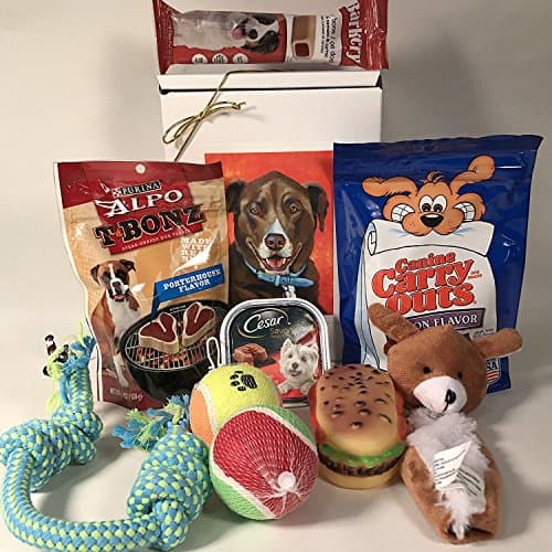 Dog Gift Box Basket for A Favorite Canine/Fur Baby image