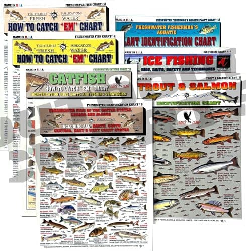 Fishermen's Freshwater Fish Identification Set - Waterproof Quick Reference Guide | Portable & Built to Last | Double-Sided & Easy to Read image